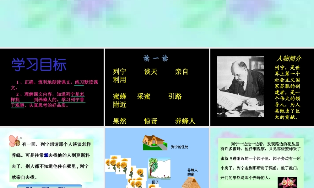 《蜜蜂引路》教学课件1