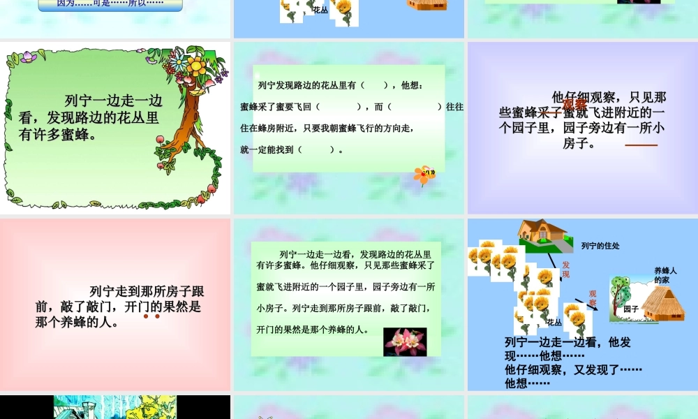 《蜜蜂引路》教学课件1
