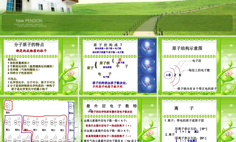 分子原子离子总结