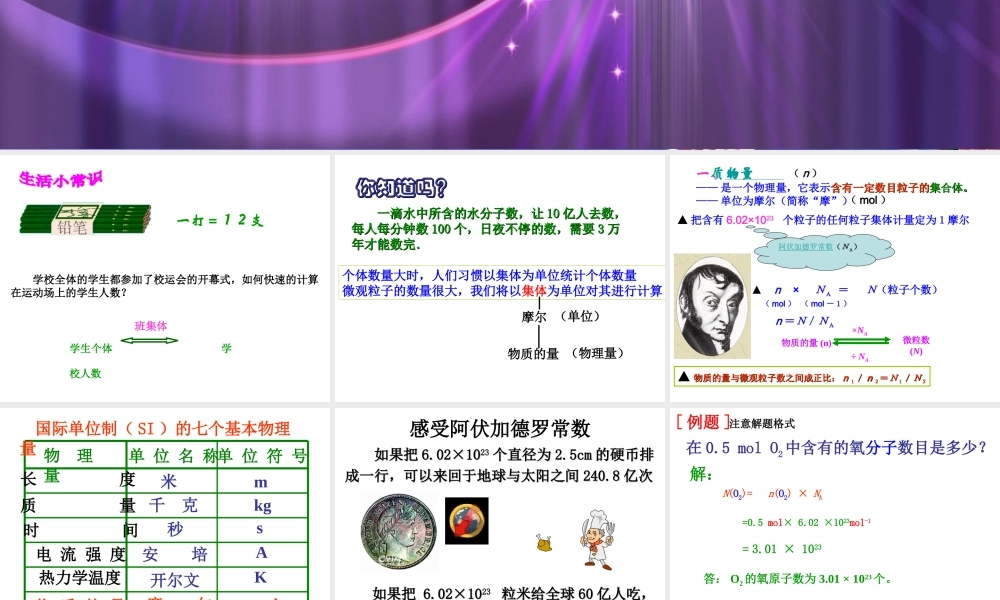 《化学计量在实验中的应用》课件1