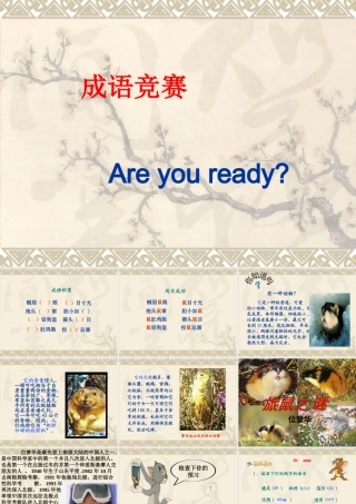 《旅鼠之谜》课件