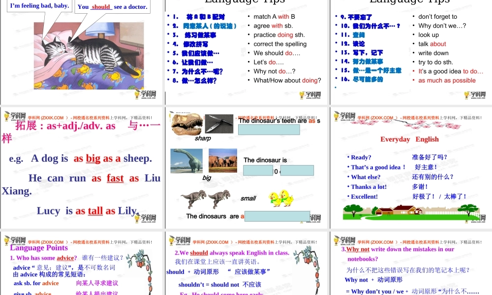 2013版外研版八年级英语上册配套课件：Module2MyhometownandmycountryUnit1