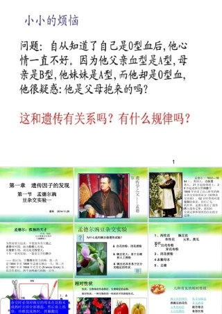 孟德尔豌豆杂交实验一