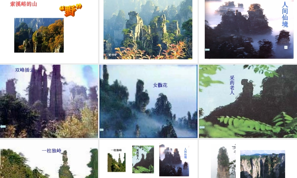 索溪峪的野课件(1)