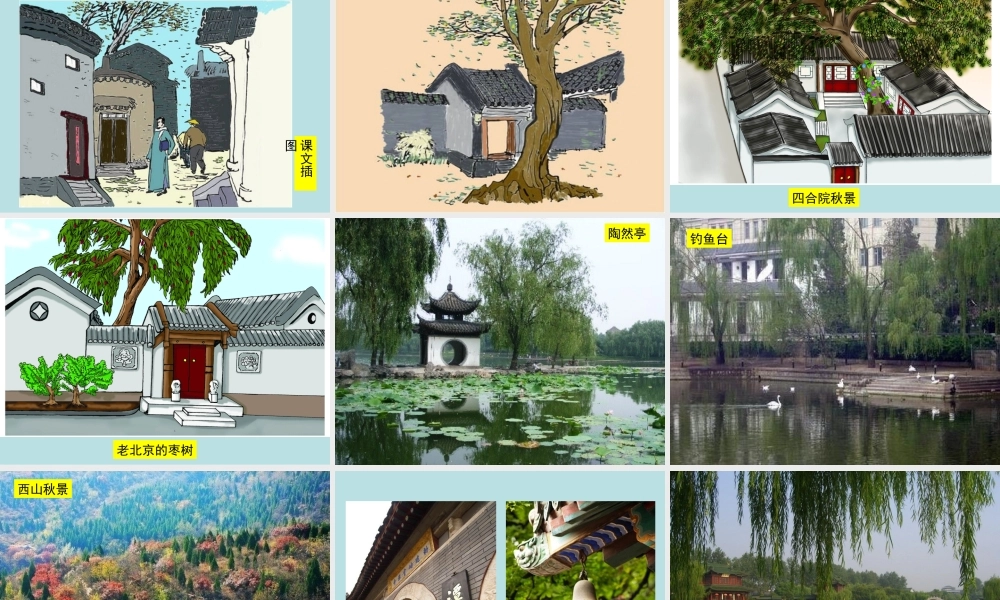 高中一年级语文必修2《故都的秋》