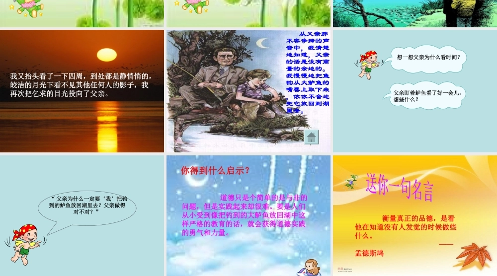 钓鱼的启示张传俊