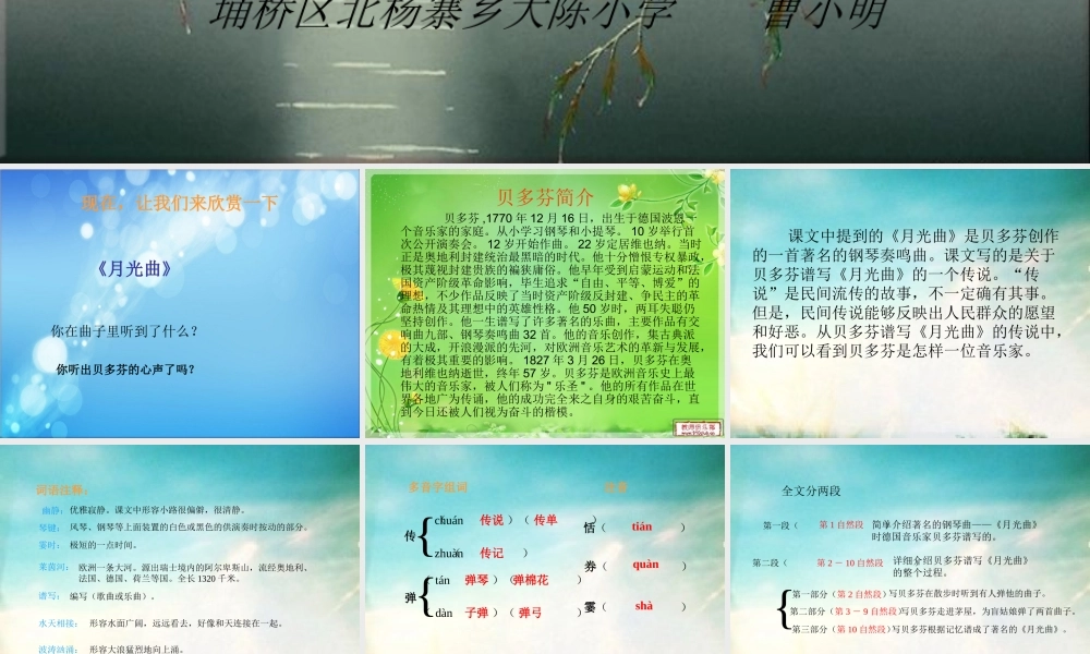 《月光曲》PPT