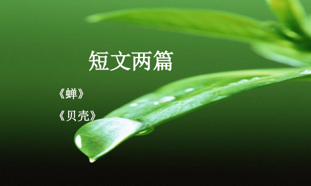 《短文两篇》参考课件2