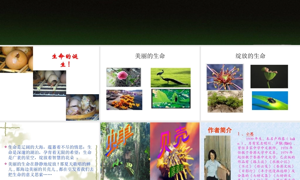 《短文两篇》参考课件2