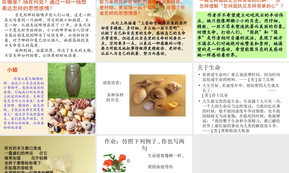 《短文两篇》参考课件2