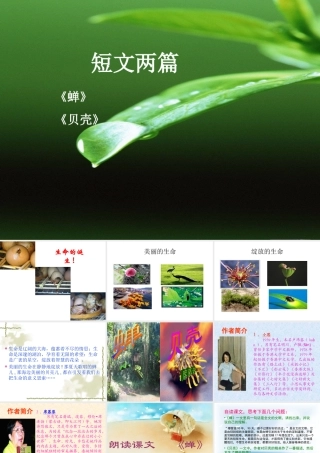 《短文两篇》参考课件2