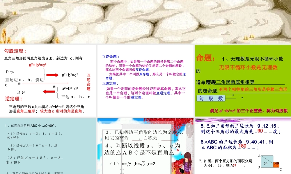 勾股定理的复习课件1 (2)