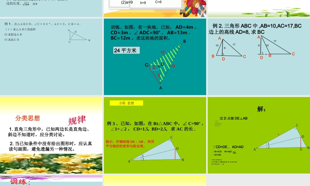 勾股定理的复习课件1 (2)