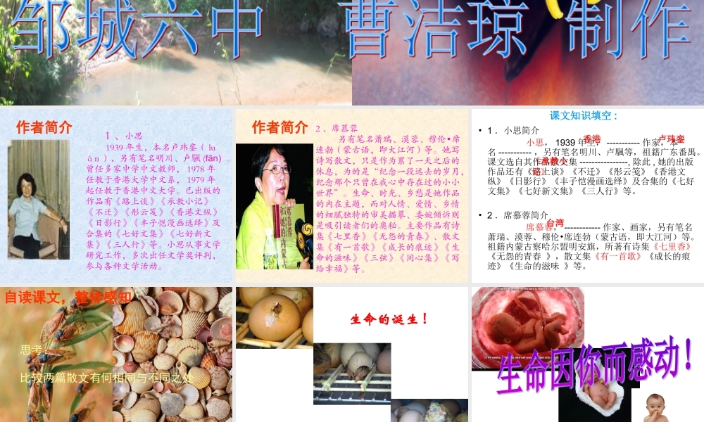 《蝉、贝壳》课件1