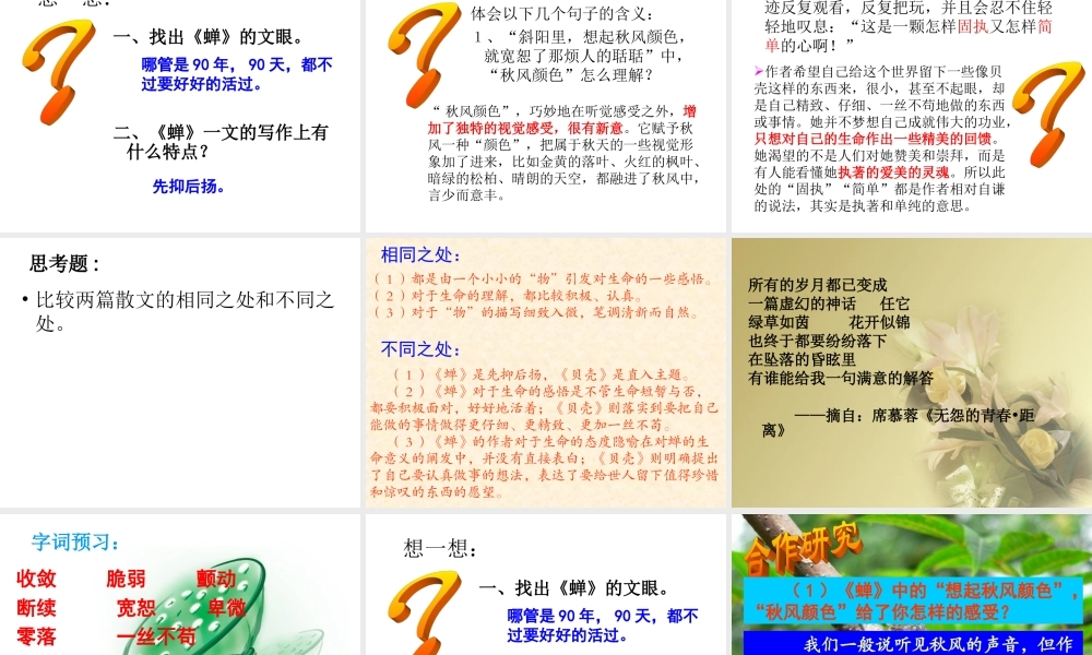 《蝉、贝壳》课件1