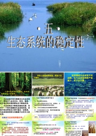 必修三55生态系统的稳定性