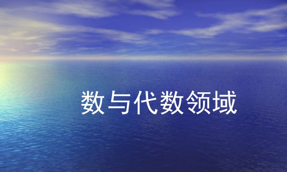 小学数学《数与代数的复习》教学课件