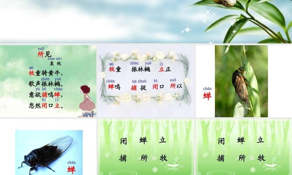 小学一年级下古诗两首(所见小池)