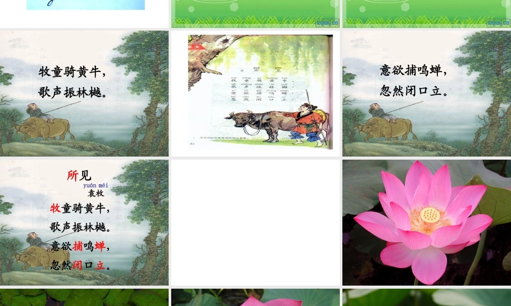 小学一年级下古诗两首(所见小池)