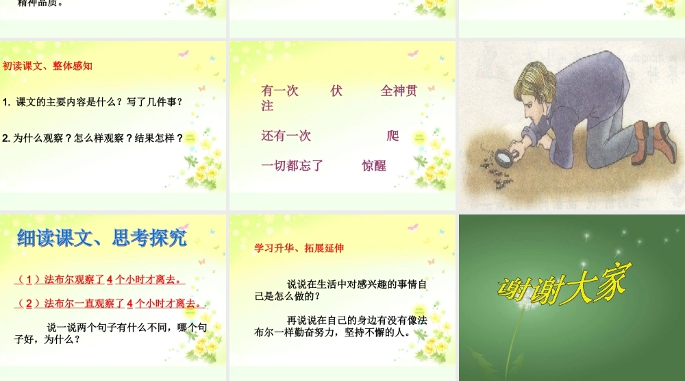 （教科版）一年级语文下册课件法布尔观察昆虫1