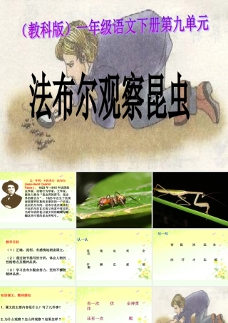 （教科版）一年级语文下册课件法布尔观察昆虫1
