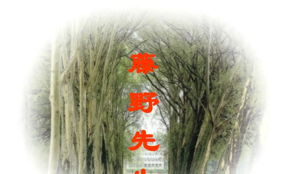 藤野先生九年级下