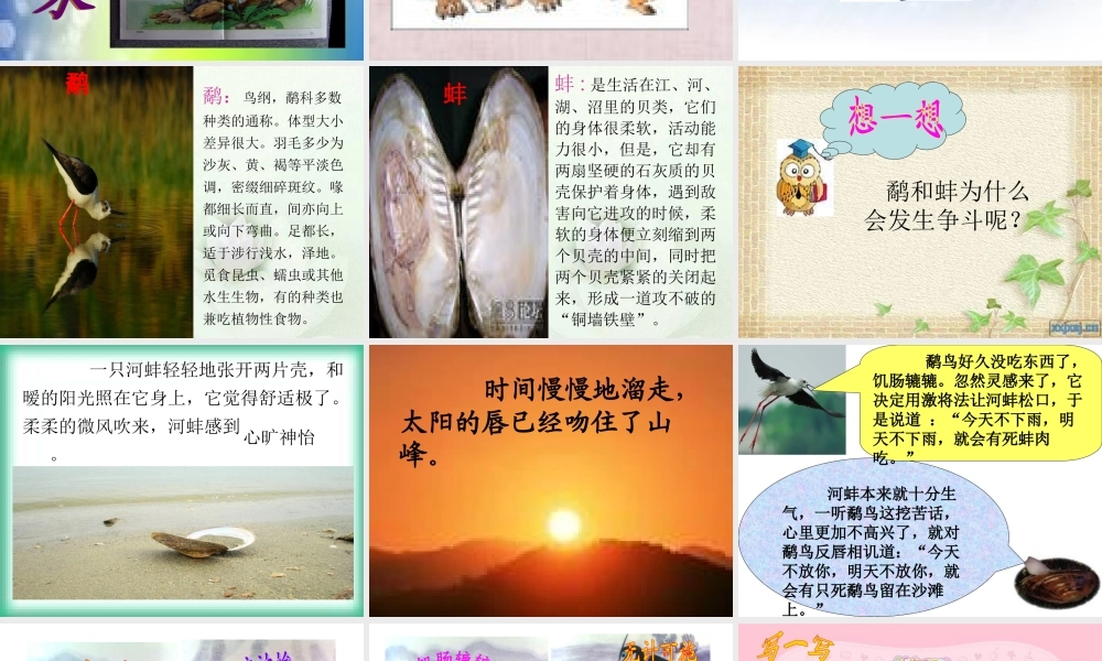 鹬蚌相争PPT田思文