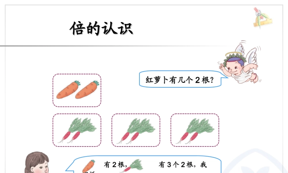 倍的认识课件1