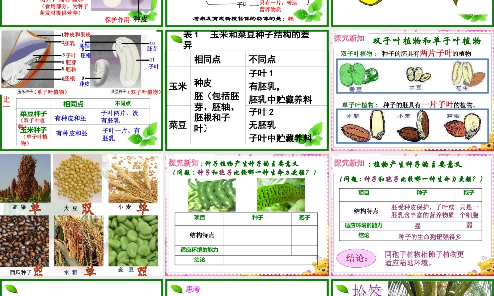 2015生物圈有哪些绿色植物