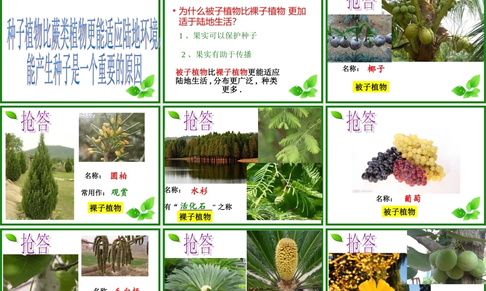 2015生物圈有哪些绿色植物