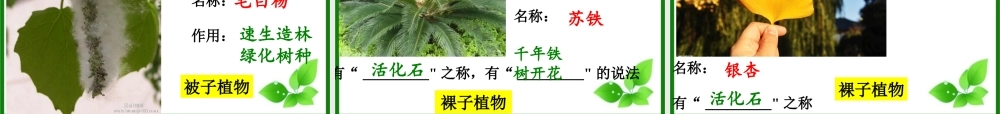 2015生物圈有哪些绿色植物