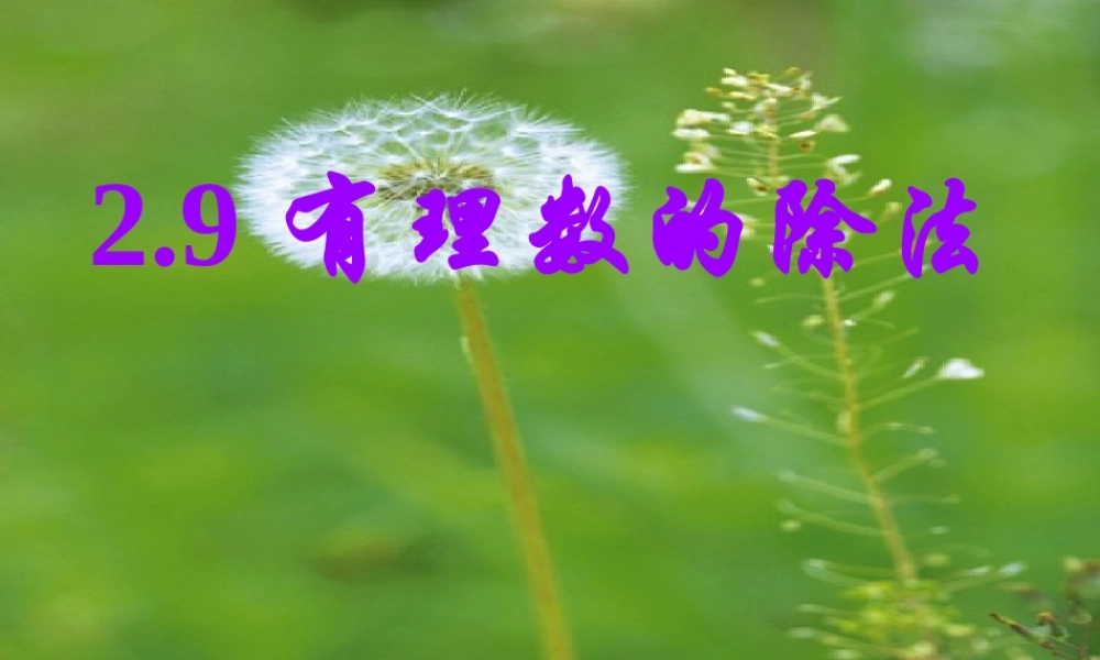 《有理数的除法》参考课件