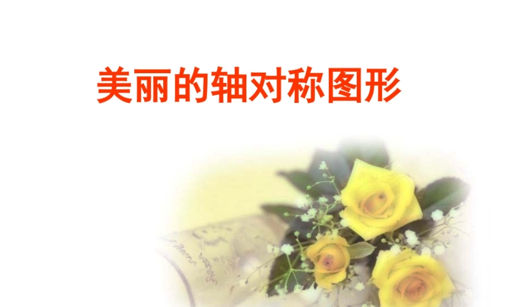 《美丽的轴对称图形》课件