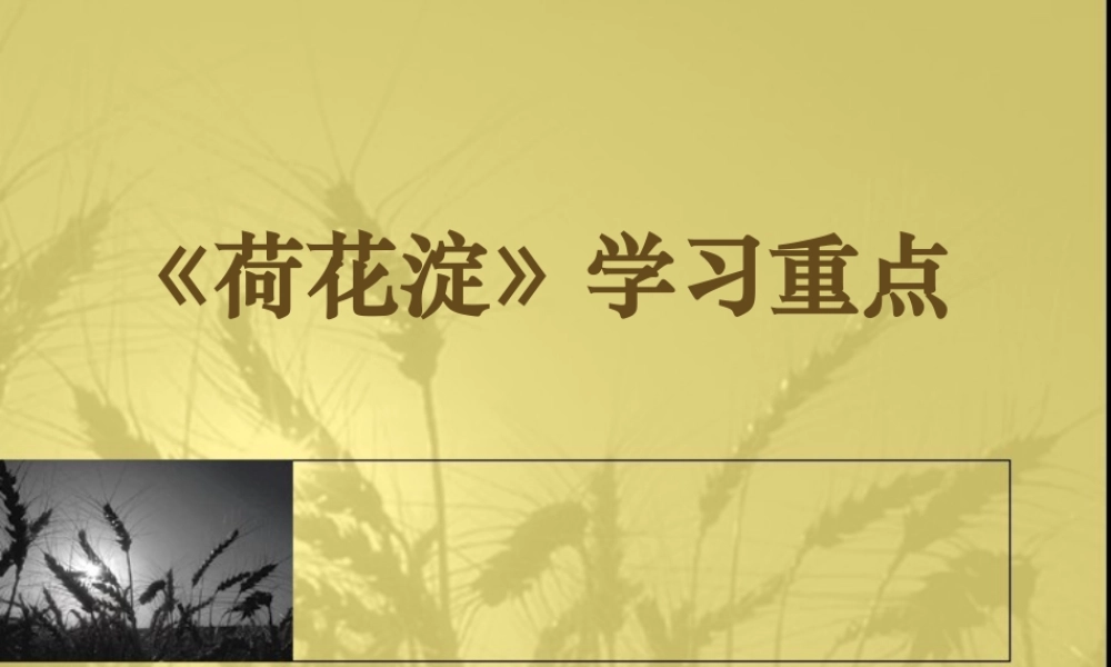 《荷花淀》学习重点