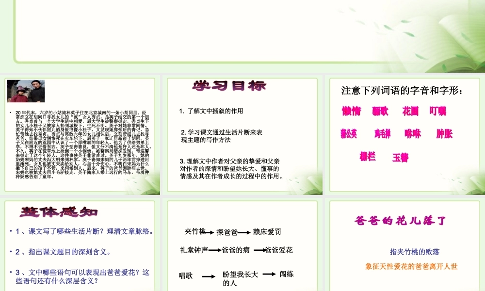 《爸爸的花儿落了》参考课件1