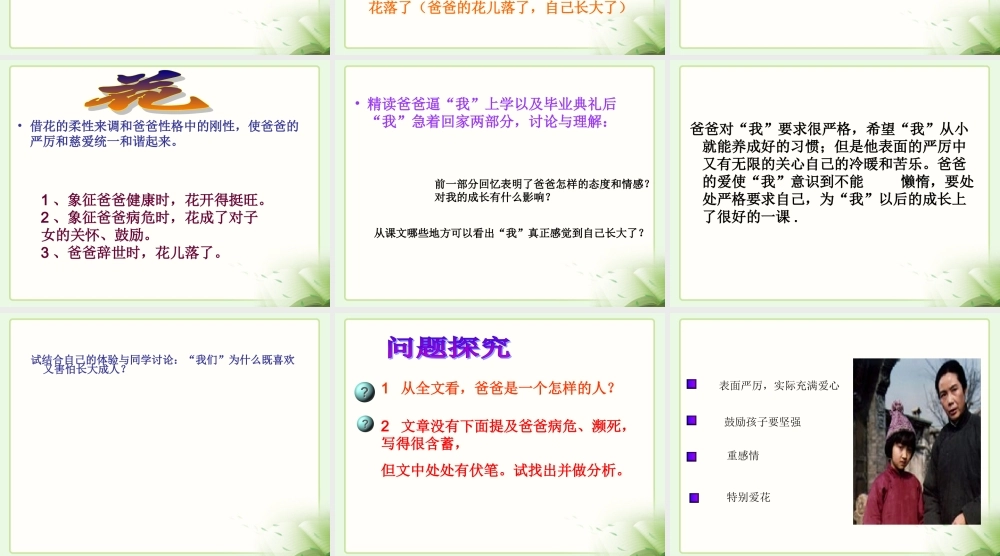 《爸爸的花儿落了》参考课件1