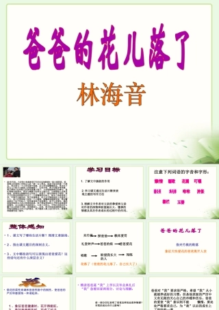 《爸爸的花儿落了》参考课件1