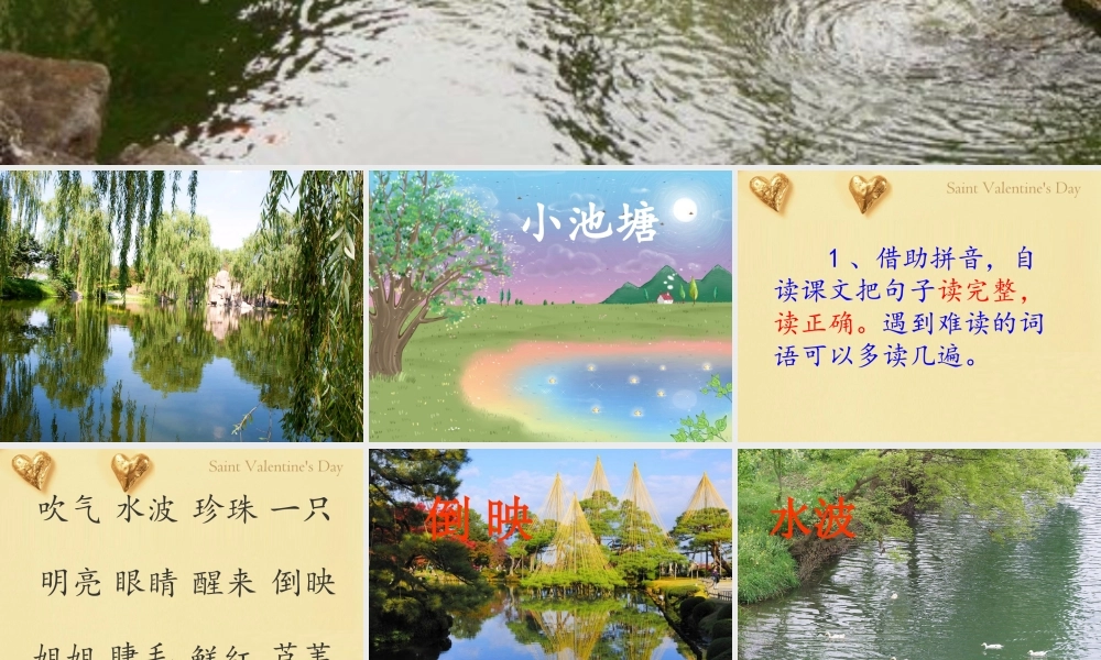 小池塘(第一课时)