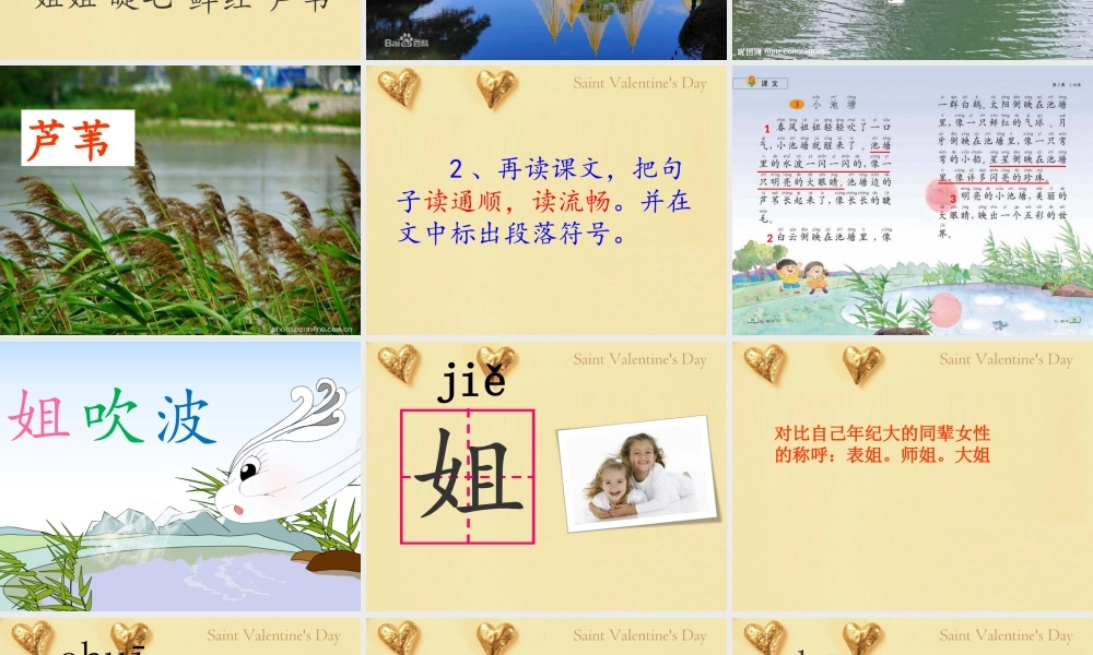 小池塘(第一课时)