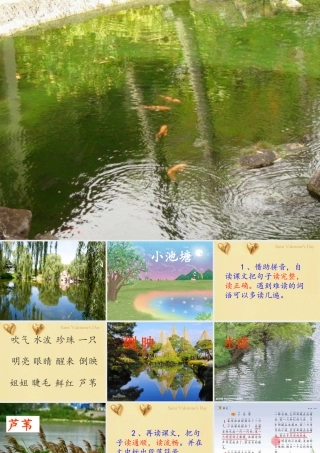 小池塘(第一课时)