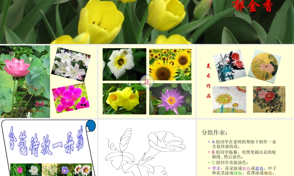 含苞待放一朵花