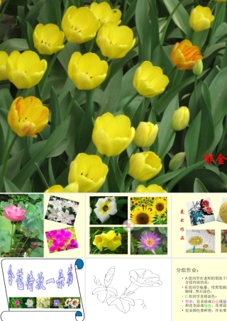 含苞待放一朵花