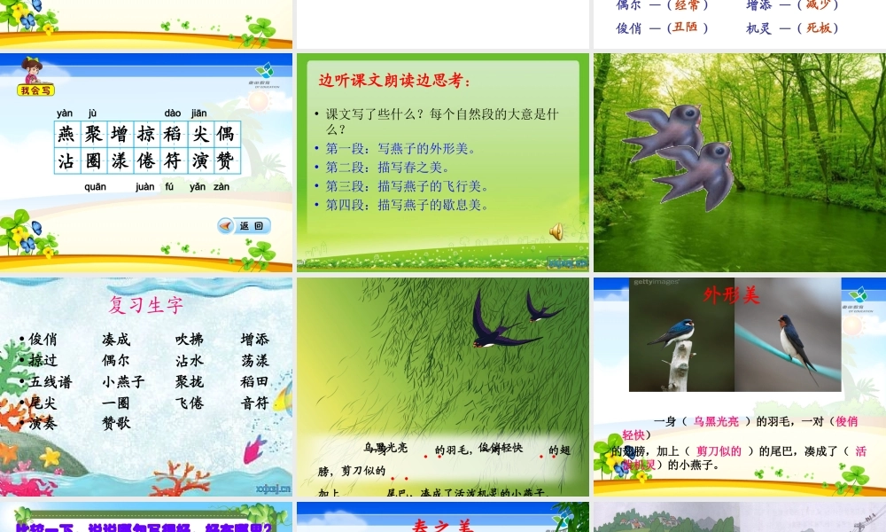完整_人教版小学语文三年级下册《燕子》课件 (2)