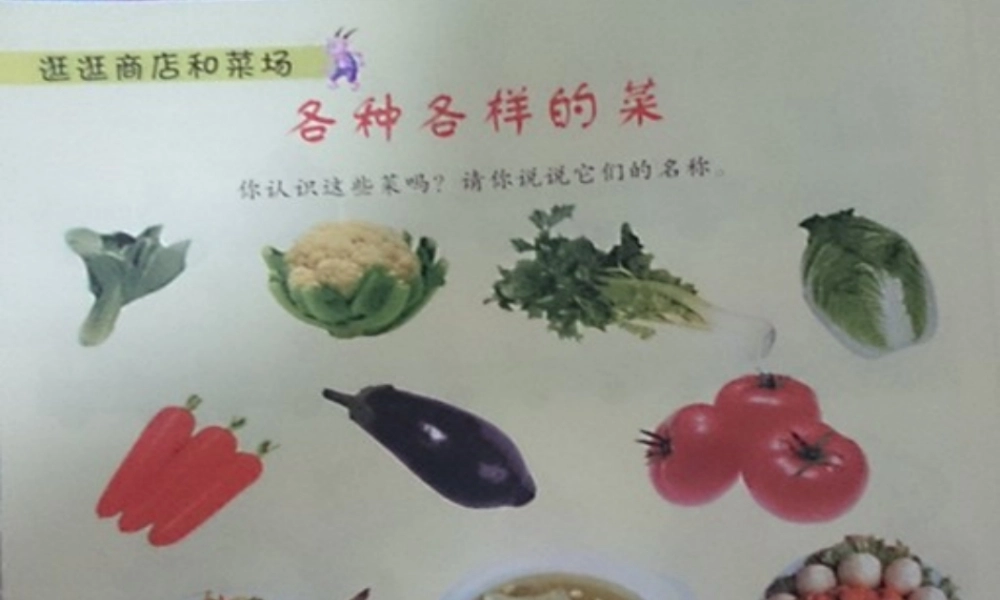 各种各样的蔬菜