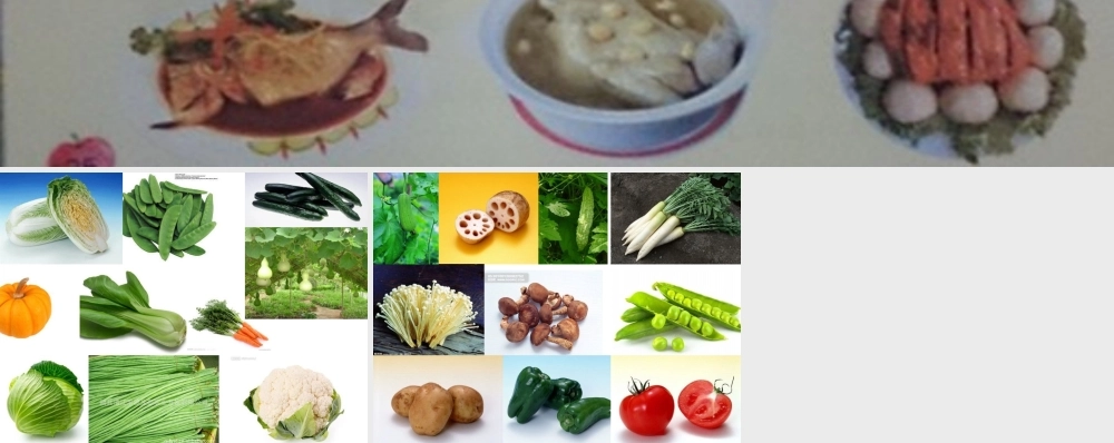 各种各样的蔬菜