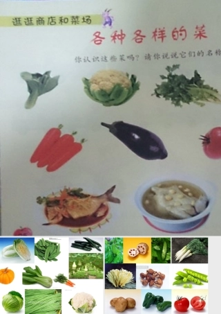 各种各样的蔬菜