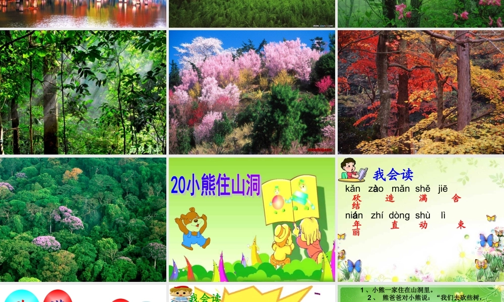 小熊住山洞_课件