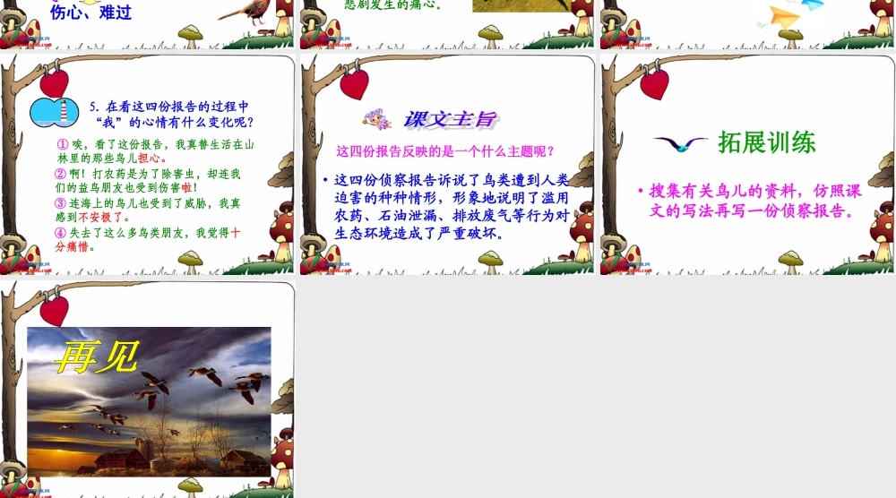 北师大版五年级语文上册《鸟儿的侦察报告》课件2