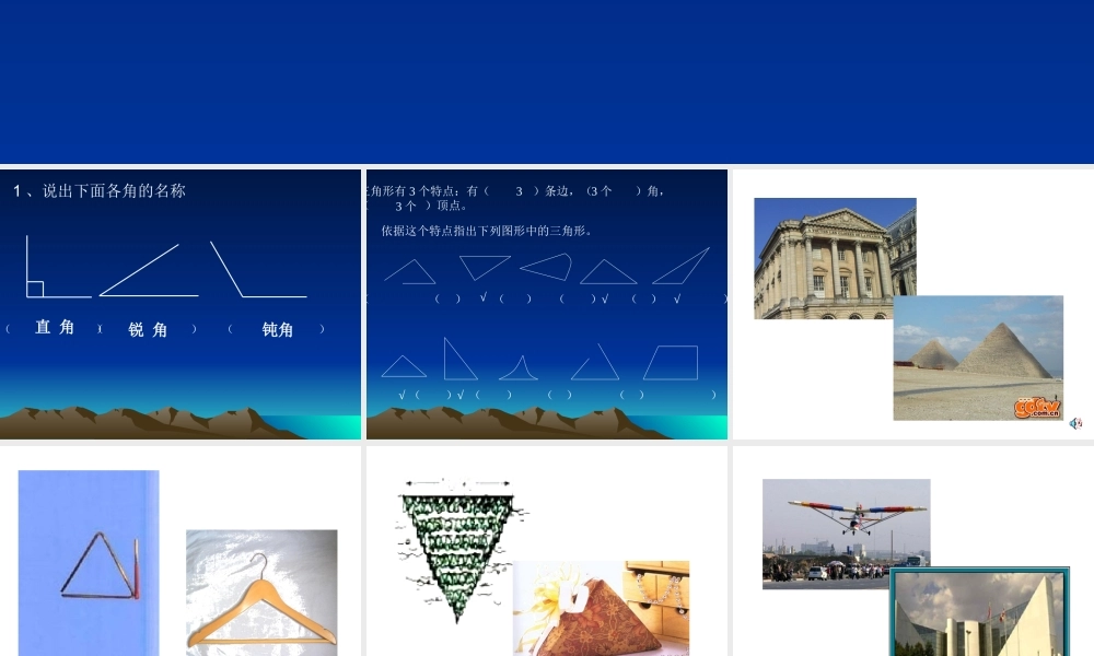 三角形的分类 (7)