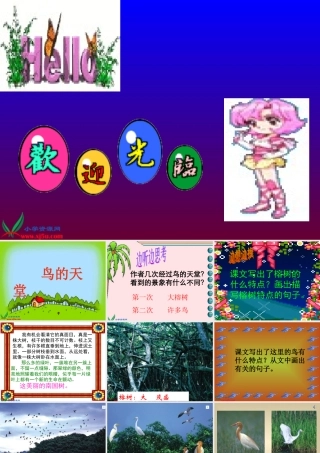 人教新课标四年级语文上册《鸟的天堂9》PPT课件